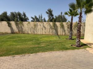 03 jardin[1]